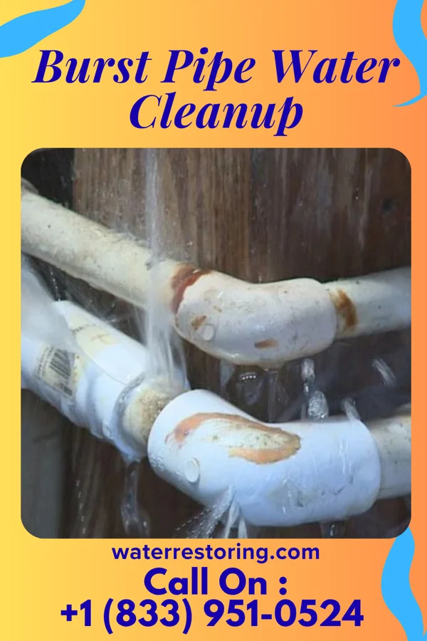 Burst Pipe Water Cleanup in Roanoke, VA