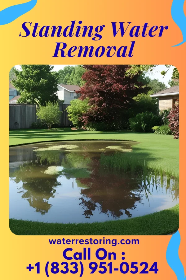 Standing Water Removal in Roanoke, VA